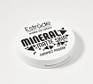 
                                Пудра для лица Estrade Mineral Matte Skin компактная М22 светлый бежевый холодный